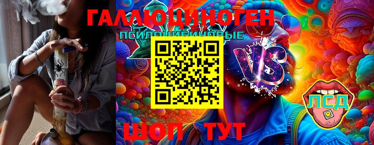 Псилоцибиновые грибы Magic Shrooms  Вход с VPN  Елизово 